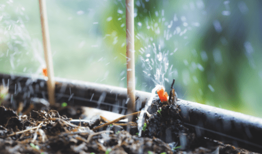 Arrosage automatique : 9 systèmes à adopter pour le jardin